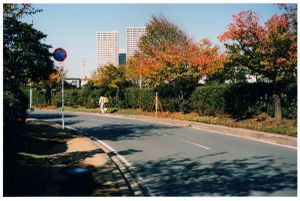 Surveying again / Urayasu, 2013
