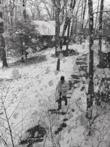 Untitled, Deep River, CT, 12 30 17