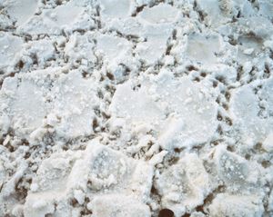 Icelandic Surfaces #10