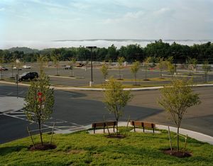 Parking lot (Three Trees), 2008