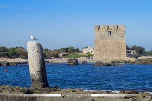 Coast of San Vito