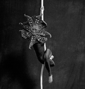 ¨Freaks¨ nº 19