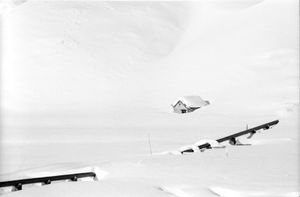 Nel Bianco