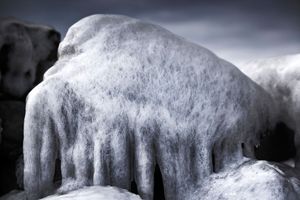 ice