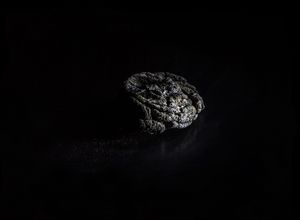 found things -5