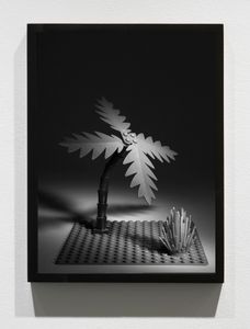 Lego Palm Tree, 2012/15, Pigment print, 16 x 12 inches