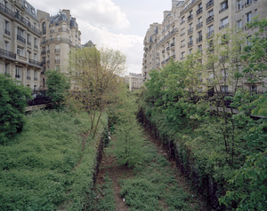 XVI arrondissement 113a