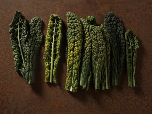 Food Photography