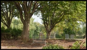 Toronto Island Portfolio Limited Edition Prints  22x12" and 42x22"