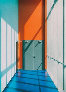 The Colors Show