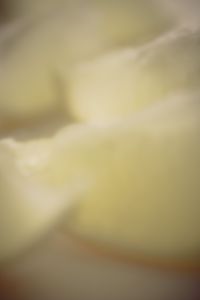 Ode to the Lemon.
