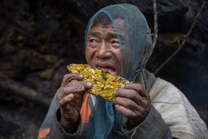 SWEET GOLD - The honey hunters of Nepal