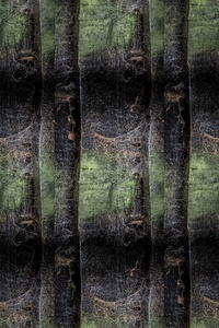 wooden fence 2