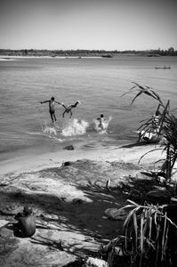 A dive of friendship