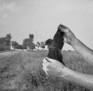 natura morta   [ found object ]