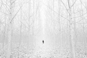 the math is the math_09