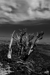 Epecuen