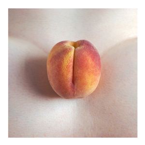 the fruit burned ripe                                   © Barbara Ciurej And Lindsay Lochman