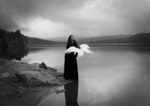 The Bird Tamer