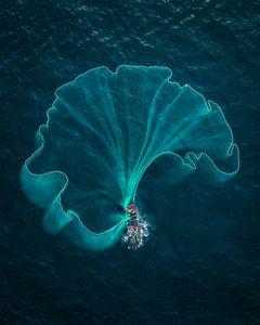 Whispers from Above: The Abstract Net's Story