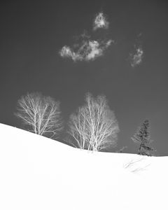 ZenMeditation - Plate 6