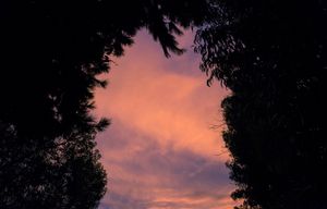 Sky portal