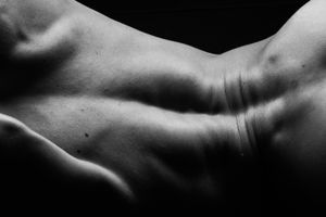Dark Bodies - How Muscles can bend