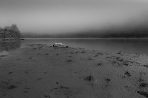 Silence