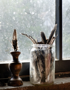 feathers agains window