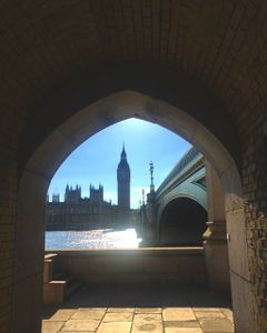 The Palace Of Westminster From The Vault