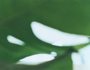 from the series Grains of existence