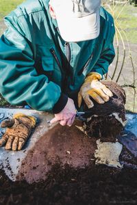 Working in the garden centre and arboretum.