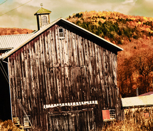 Roadside Barn-Walton, NY