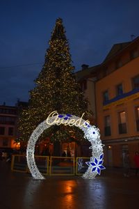 Outdoor Christmas Tree
