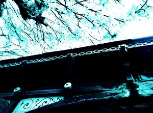 Roof and Tree 3