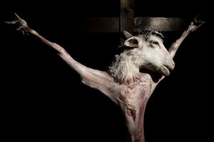 Lamb of God