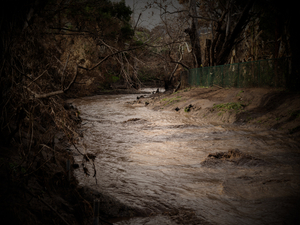 Flash flood, 2019