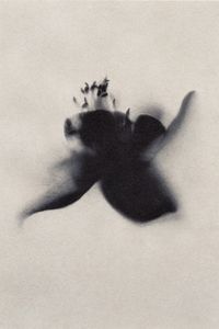 ZAO