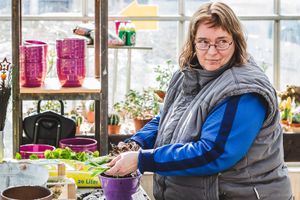 Working in the garden centre and arboretum.