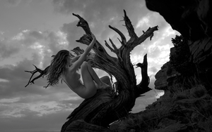 Juniper Dryad