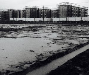 The old marsh