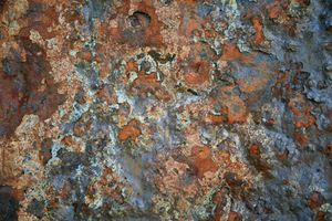petruckevitch_ann_21