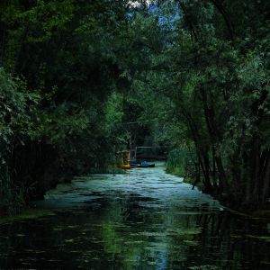 Echoes V  -Realized self IV