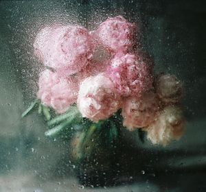 Still life with peonies