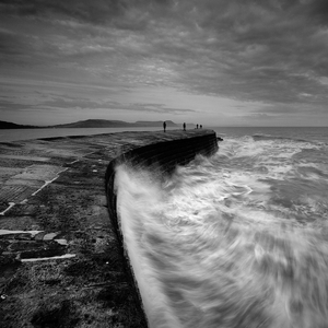 The Cobb I