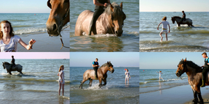 A girl, the sea and a horse.
