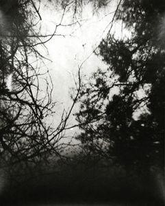 Positive I from PCL_03, Gelatin Silver Print, 2012 © Ross Faircloth