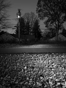Untitled (Headlights & Streetlamp), Stamford, CT 11 2 24