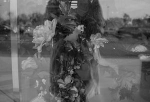 Seer Partly Seen #7