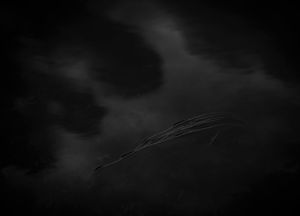 Untitled 1